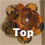 Link to top